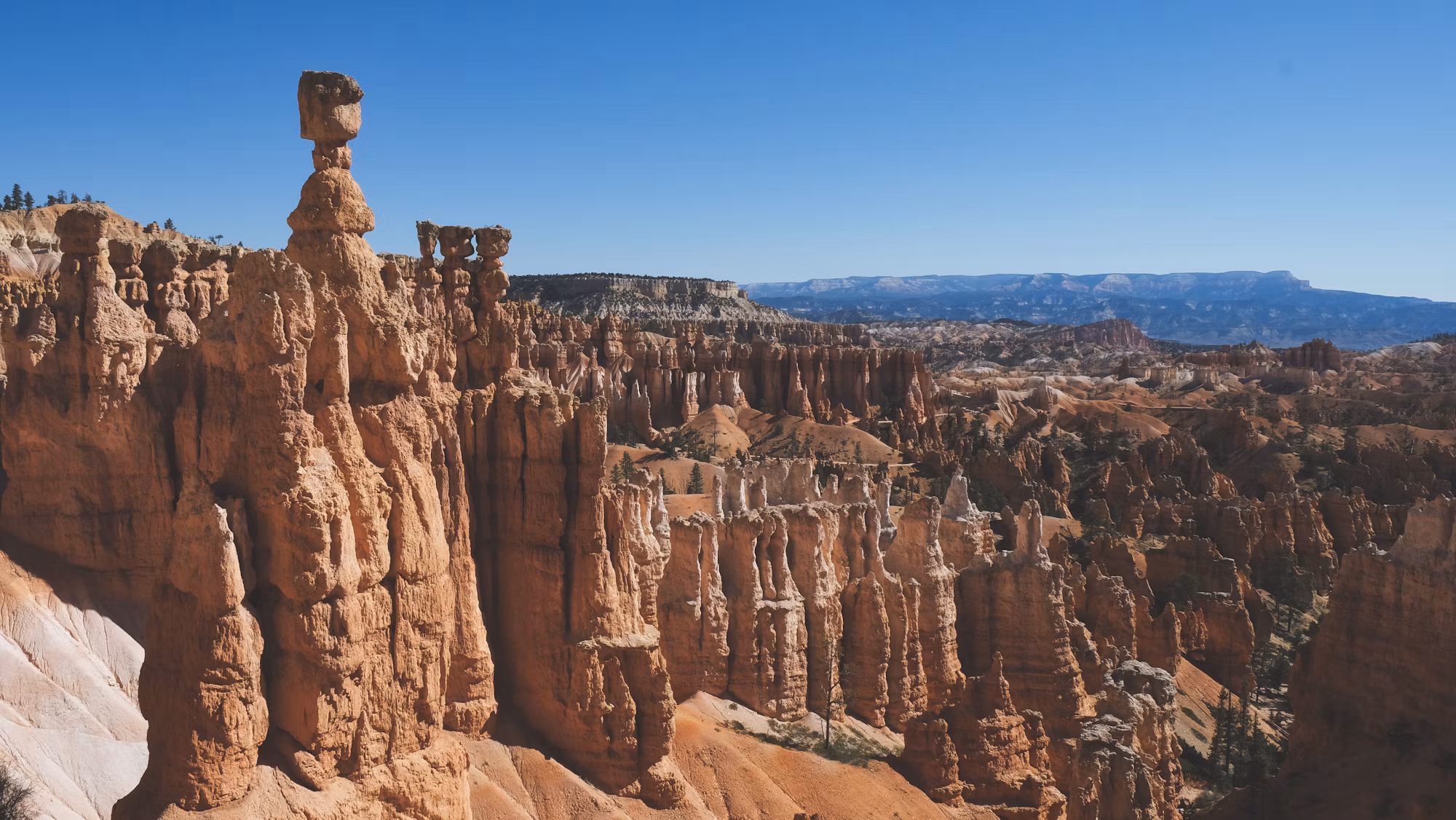 Exploring the Art of Urban Hiking: Discovering Cities on Foot